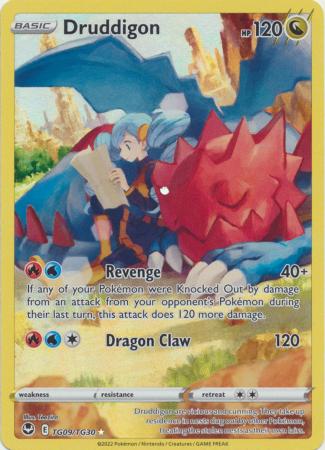 Druddigon - TG09/TG30 - Holo Rare